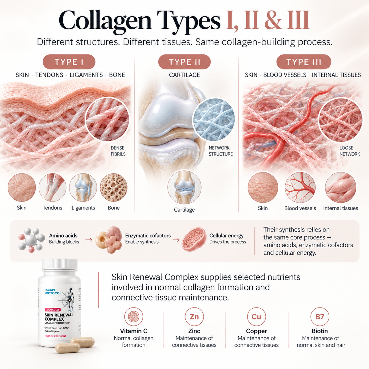 Skin Renewal Complex 3x