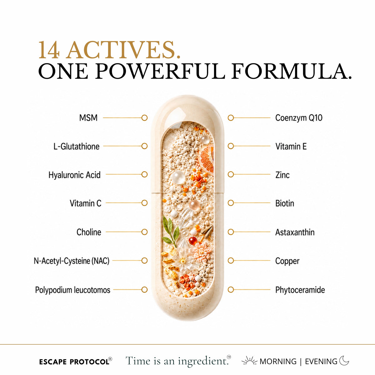 Skin Renewal Complex 3x